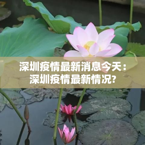 深圳疫情最新消息今天：深圳疫情最新情况?