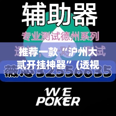 推荐一款“沪州大贰开挂神器”(透视挂)辅助透视教程