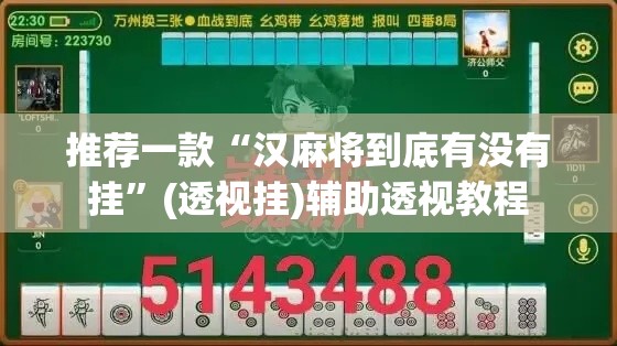 推荐一款“汉麻将到底有没有挂”(透视挂)辅助透视教程