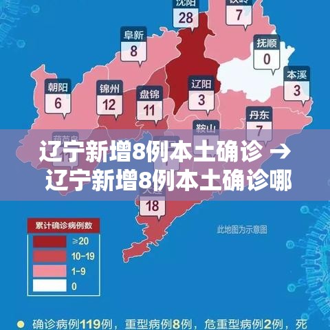 辽宁新增8例本土确诊 → 辽宁新增8例本土确诊哪个市