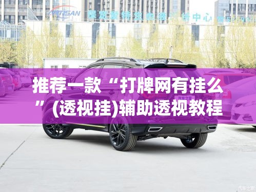 推荐一款“打牌网有挂么”(透视挂)辅助透视教程