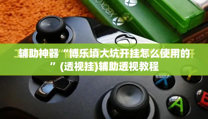 辅助神器“博乐填大坑开挂怎么使用的”(透视挂)辅助透视教程