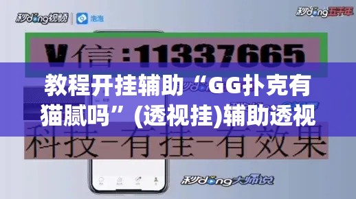 辅助神器“边锋干瞪眼怎么开挂”(透视挂)辅助透视教程