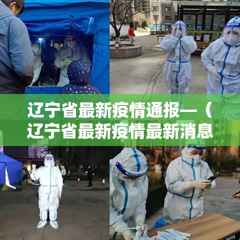 辽宁省最新疫情通报—（辽宁省最新疫情最新消息分布）