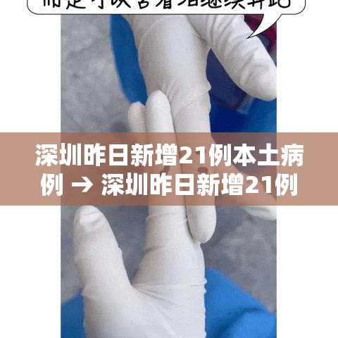 深圳昨日新增21例本土病例 → 深圳昨日新增21例本土病例多少
