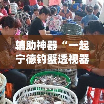 辅助神器“一起宁德钓蟹透视器”(透视挂)辅助透视教程