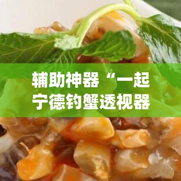 辅助神器“一起宁德钓蟹透视器”(透视挂)辅助透视教程