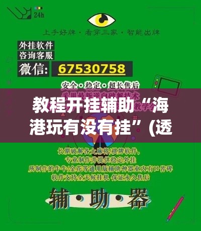 教程开挂辅助“海港玩有没有挂”(透视挂)辅助透视教程