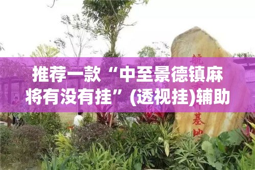 推荐一款“中至景德镇麻将有没有挂	”(透视挂)辅助透视教程