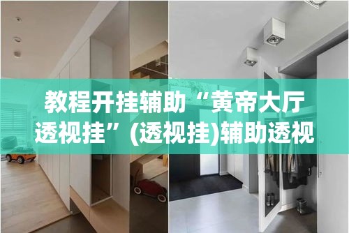 教程开挂辅助“黄帝大厅透视挂”(透视挂)辅助透视教程