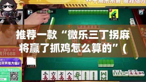 推荐一款“微乐三丁拐麻将赢了抓鸡怎么算的	”(透视挂)辅助透视教程