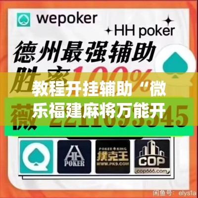 教程开挂辅助“微乐福建麻将万能开挂器	”(透视挂)辅助透视教程