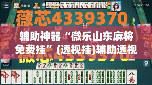 辅助神器“微乐山东麻将免费挂”(透视挂)辅助透视教程