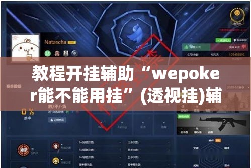 教程开挂辅助“竹园茶楼辅助器”(透视)其实确实有挂