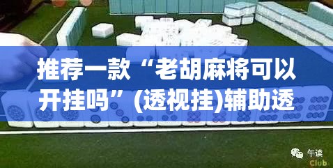 推荐一款“老胡麻将可以开挂吗”(透视挂)辅助透视教程