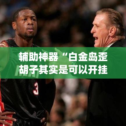辅助神器“白金岛歪胡子其实是可以开挂”(透视挂)辅助透视教程