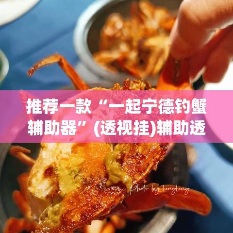 推荐一款“一起宁德钓蟹辅助器”(透视挂)辅助透视教程