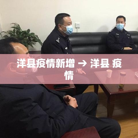 洋县疫情新增 → 洋县 疫情