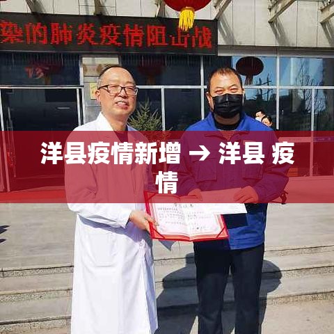 洋县疫情新增 → 洋县 疫情