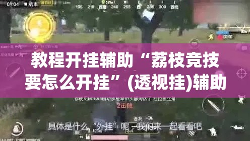 教程开挂辅助“荔枝竞技要怎么开挂	”(透视挂)辅助透视教程
