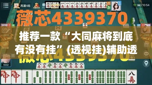 推荐一款“大同麻将到底有没有挂”(透视挂)辅助透视教程