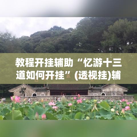 教程开挂辅助“忆游十三道如何开挂”(透视挂)辅助透视教程