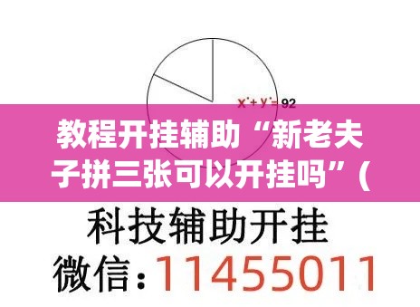 教程开挂辅助“新老夫子拼三张可以开挂吗”(透视挂)辅助透视教程