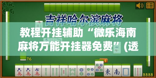 教程开挂辅助“微乐海南麻将万能开挂器免费”(透视挂)辅助透视教程