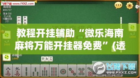 教程开挂辅助“微乐海南麻将万能开挂器免费”(透视挂)辅助透视教程