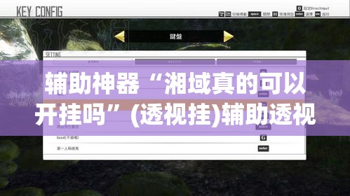 辅助神器“湘域真的可以开挂吗”(透视挂)辅助透视教程