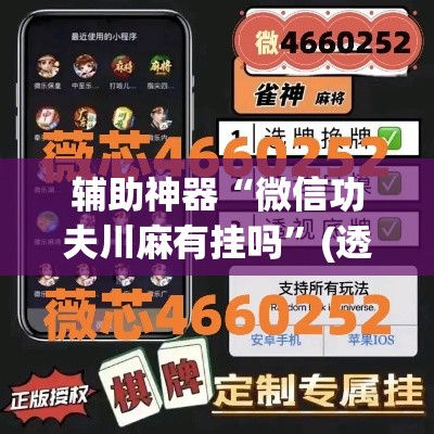 辅助神器“微信功夫川麻有挂吗”(透视挂)辅助透视教程