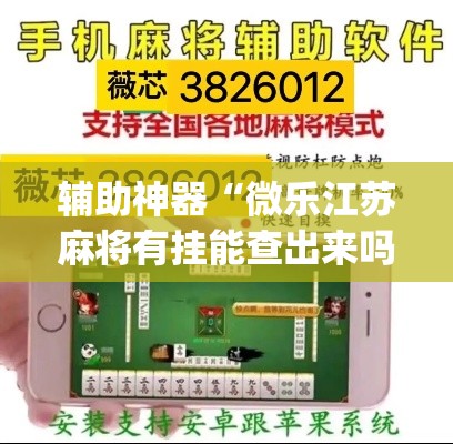 辅助神器“微乐江苏麻将有挂能查出来吗”(透视挂)辅助透视教程