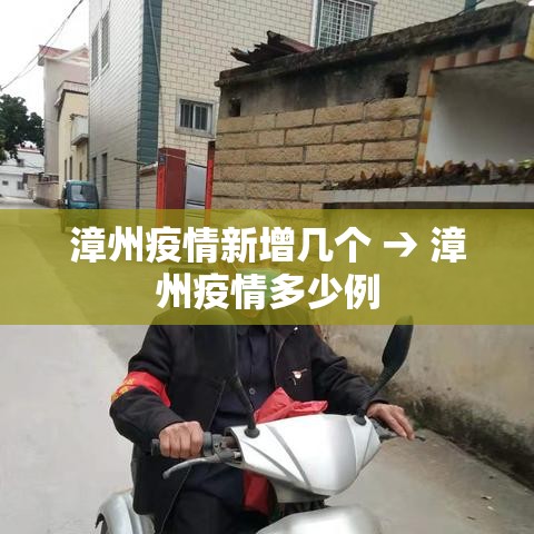 漳州疫情新增几个 → 漳州疫情多少例