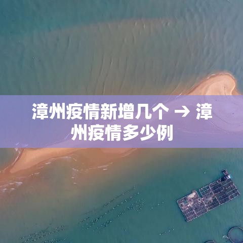 漳州疫情新增几个 → 漳州疫情多少例