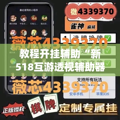 教程开挂辅助“新518互游透视辅助器”(透视挂)辅助透视教程