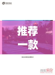 推荐一款“阳光巴厘岛可以开挂吗”(透视挂)辅助透视教程