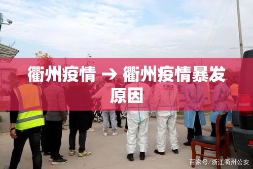 衢州疫情 → 衢州疫情暴发原因