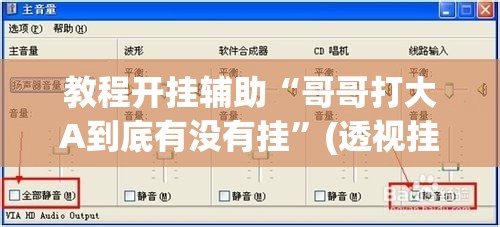 教程开挂辅助“哥哥打大A到底有没有挂”(透视挂)辅助透视教程