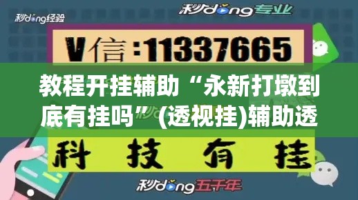 教程开挂辅助“永新打墩到底有挂吗	”(透视挂)辅助透视教程