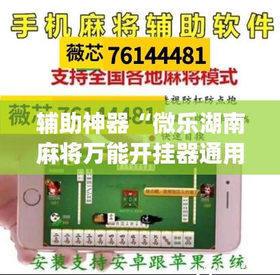辅助神器“微乐湖南麻将万能开挂器通用版	”(透视挂)辅助透视教程