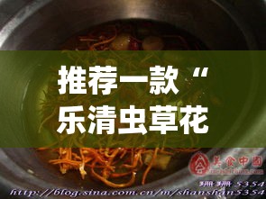 推荐一款“乐清虫草花有没有挂”(透视挂)辅助透视教程