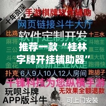 推荐一款“桂林字牌开挂辅助器”(透视挂)辅助透视教程