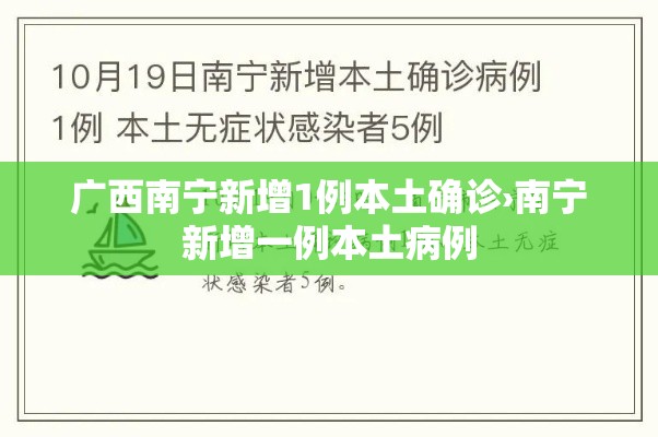广西南宁新增1例本土确诊›南宁新增一例本土病例