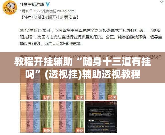 教程开挂辅助“随身十三道有挂吗”(透视挂)辅助透视教程