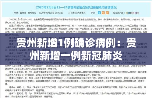 贵州新增1例确诊病例：贵州新增一例新冠肺炎