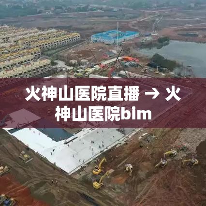 火神山医院直播 → 火神山医院bim
