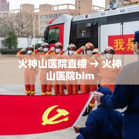 火神山医院直播 → 火神山医院bim
