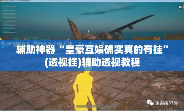 辅助神器“皇豪互娱确实真的有挂”(透视挂)辅助透视教程