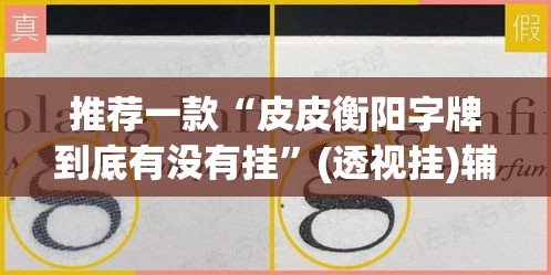 推荐一款“皮皮衡阳字牌到底有没有挂”(透视挂)辅助透视教程