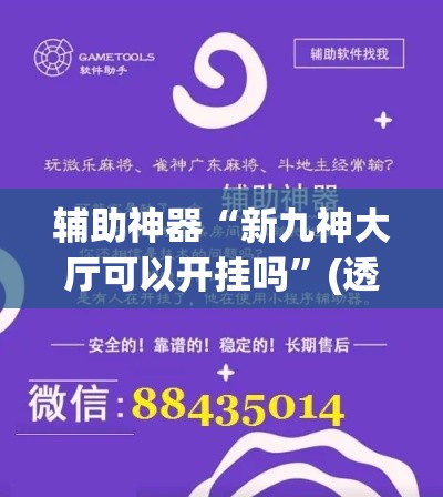 辅助神器“新九神大厅可以开挂吗”(透视挂)辅助透视教程